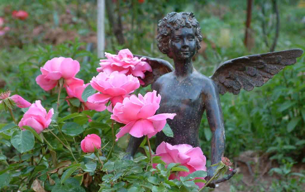 Cupid-with-roses