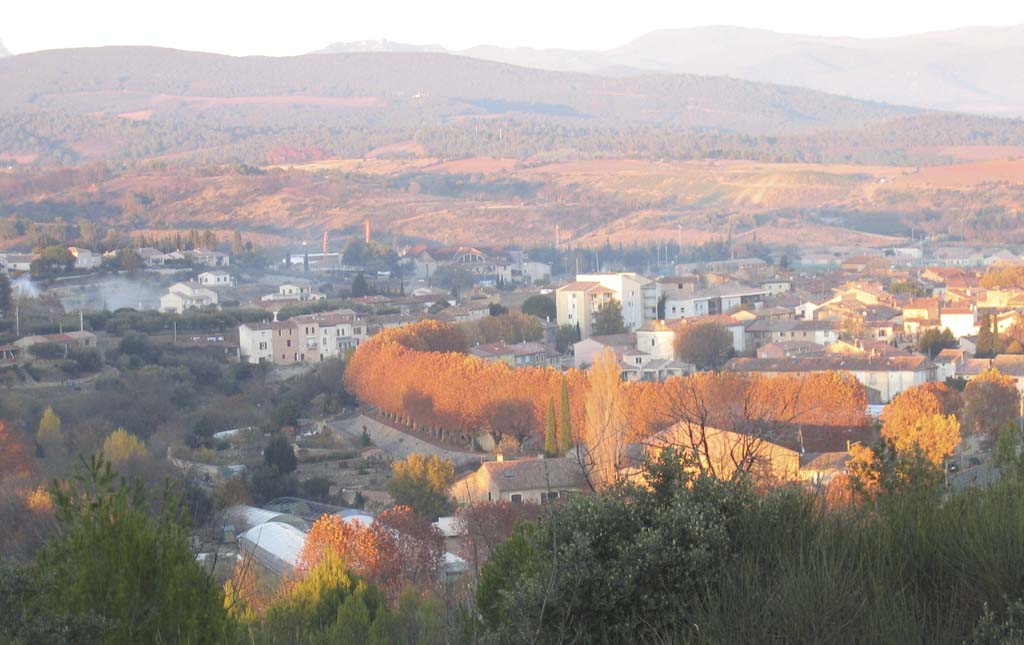 Autumn-colour-1