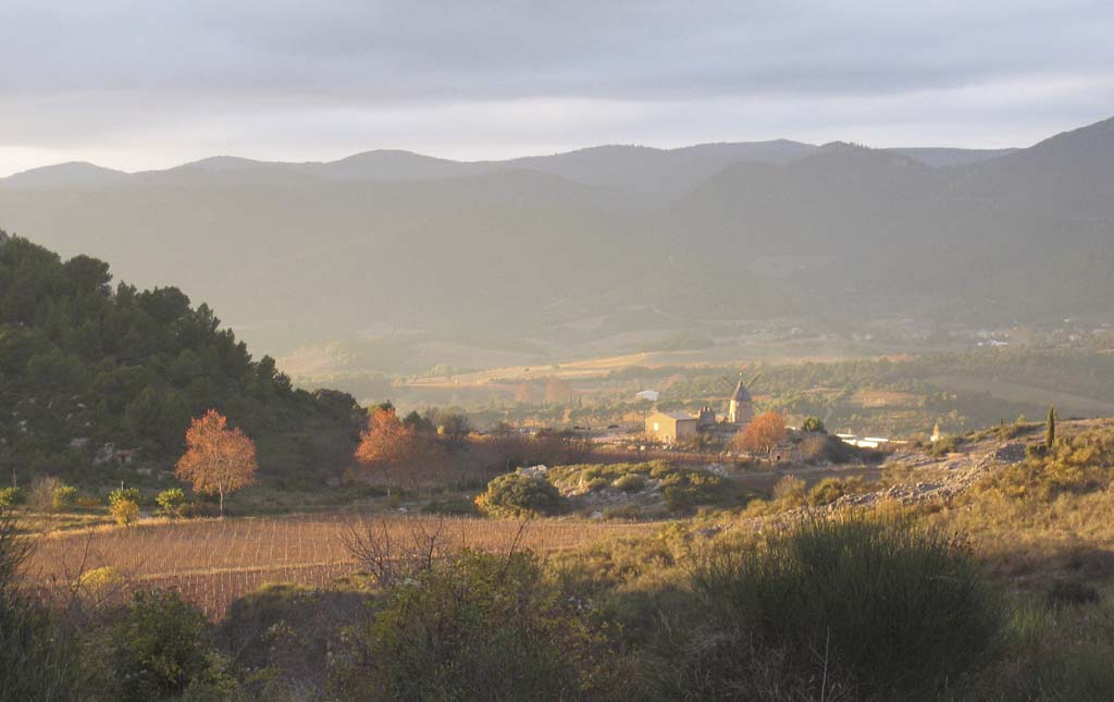 Autumn-colour-2