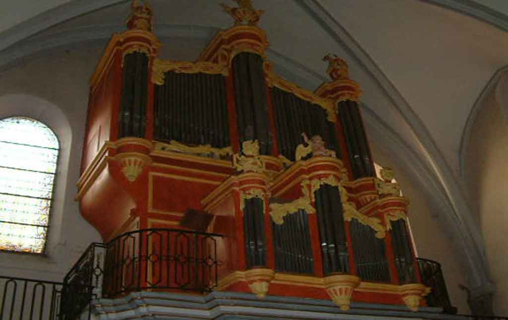Organ